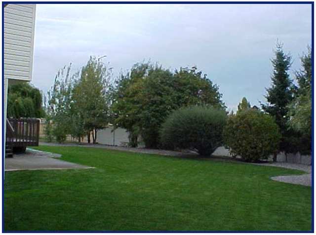 3114 West Trinity Avenue Spokane, WA 99208 - Photo 5 of 6 Gallery Image 5