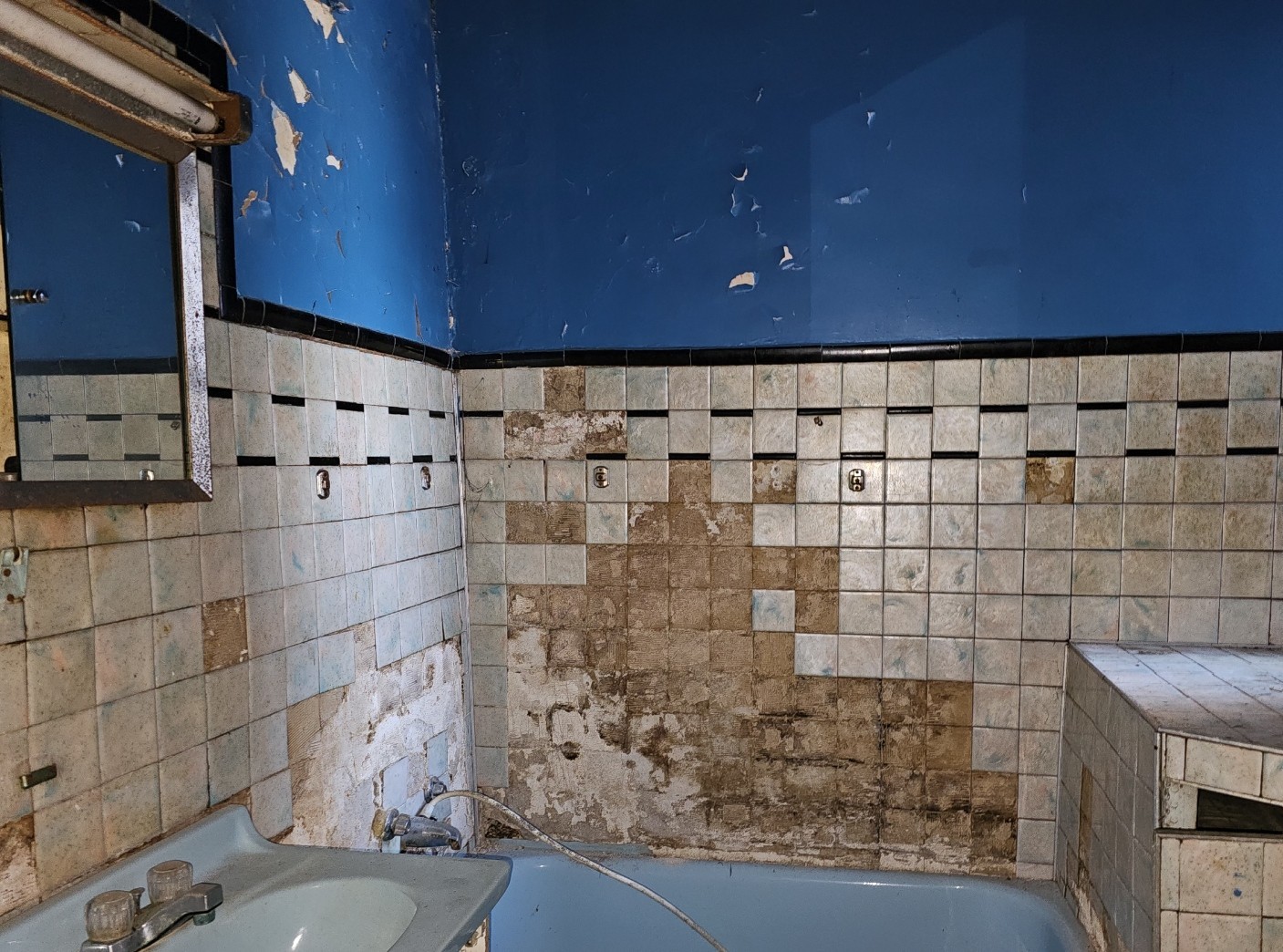 1650 South Ridgeway Avenue Chicago, IL 60623 - Photo 7 of 18 a bathroom with a shower