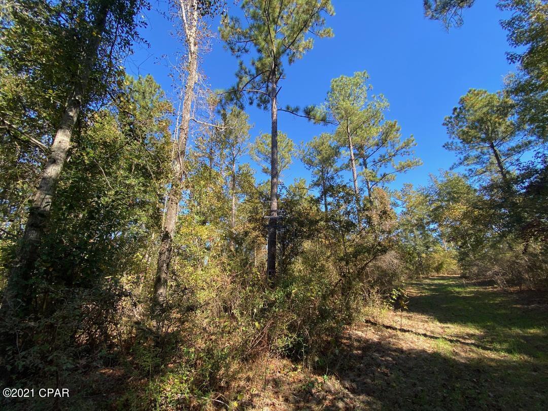 3825 River Road Sneads, FL 32460 - Photo 16 of 25 Gallery Image 16