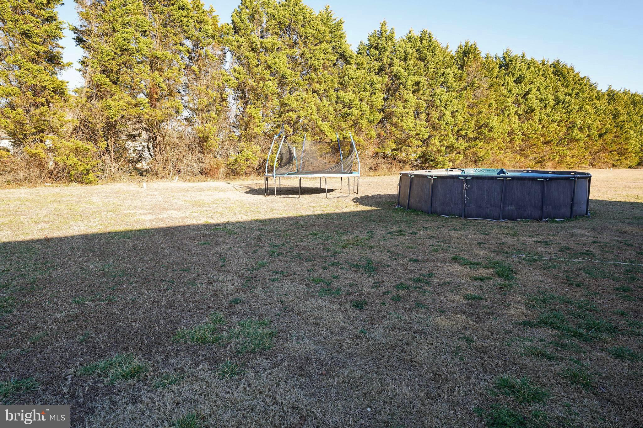 2054 Groton Road Pocomoke City, MD 21851 - Photo 39 of 42 a view of yard with large trees