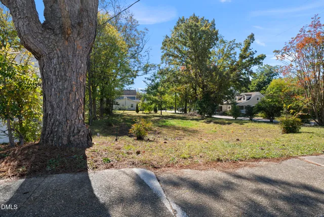 a view of yard with tree in front of it