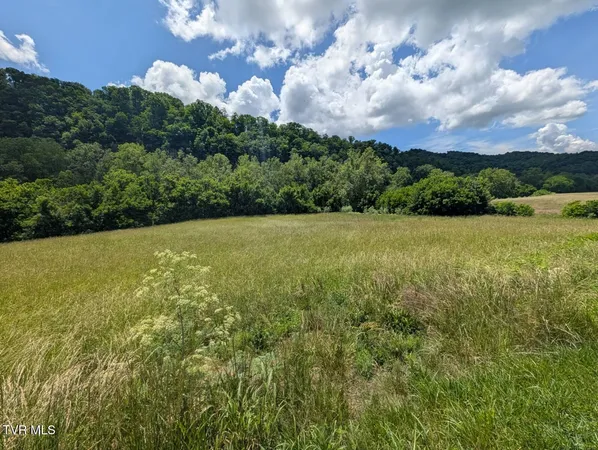 $42,500 | Tbd Clinch River Highway, Gate City, VA 24251