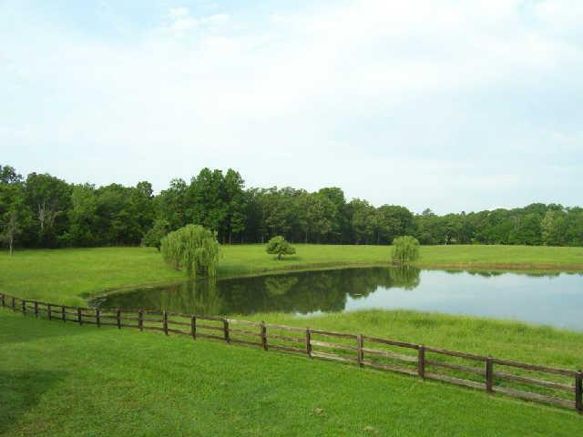 135 Sullivan Road Dickson, TN 37055 - Photo 4 of 20 Main pasture view from rear deck of barn