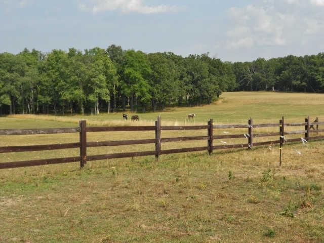 135 Sullivan Road Dickson, TN 37055 - Photo 6 of 20 Gallery Image 6