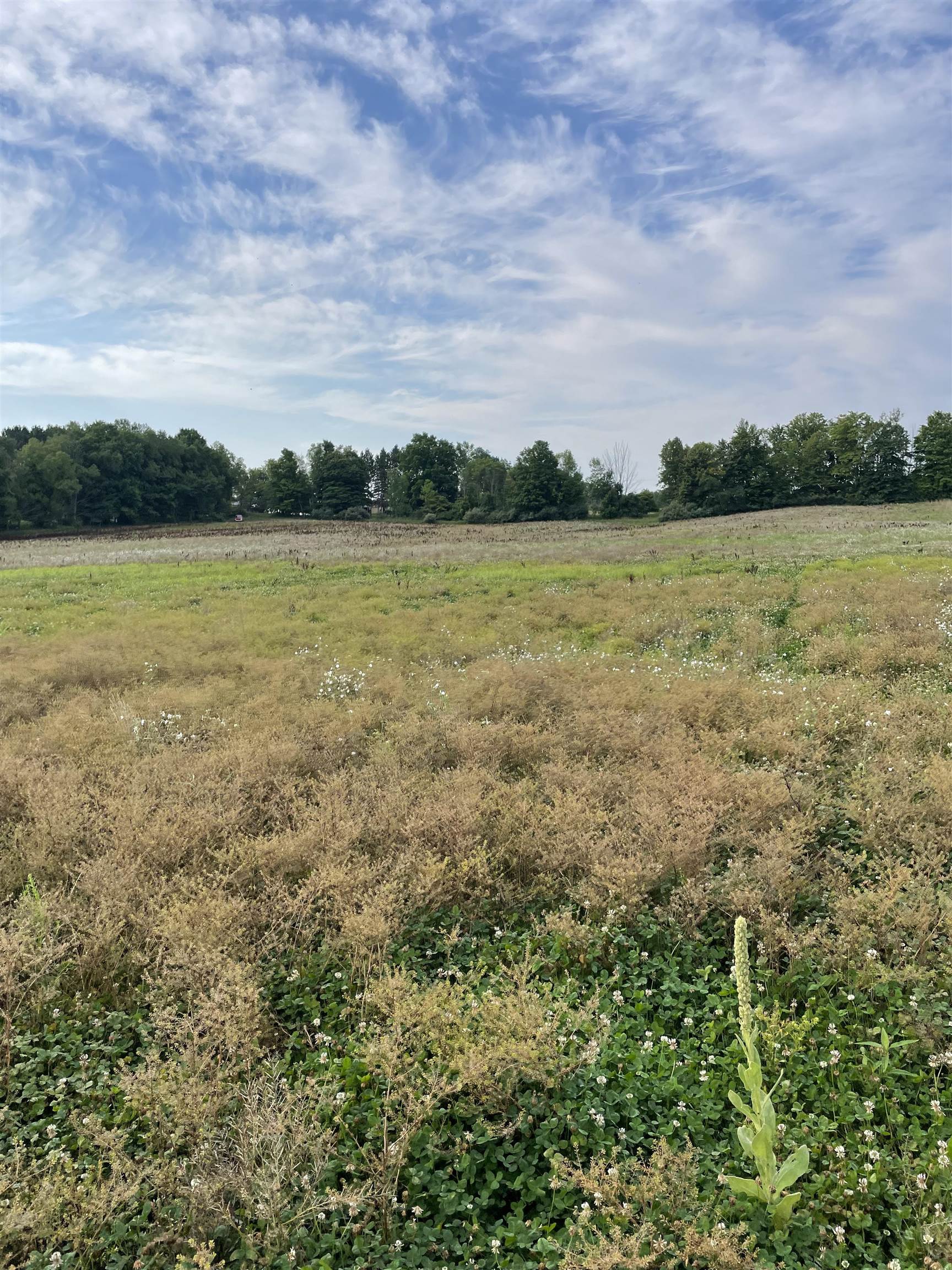 0 3 3 Mile Road Reed City, MI 49677 - Photo 9 of 11 Gallery Image 9