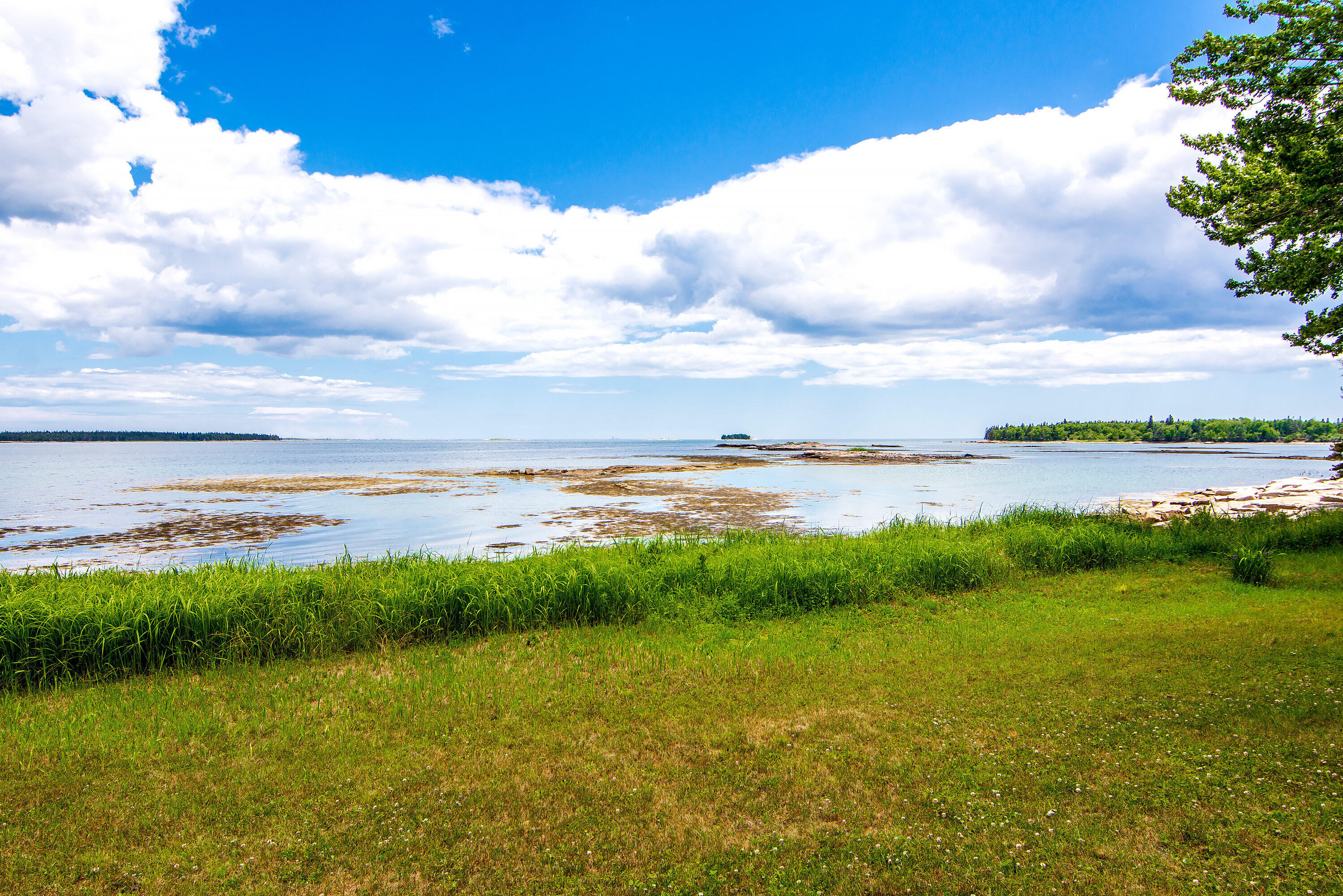 173 Paul Bunyan Road Corea, ME 04624 - Photo 38 of 41 175 Paul Bunyan Water View 1