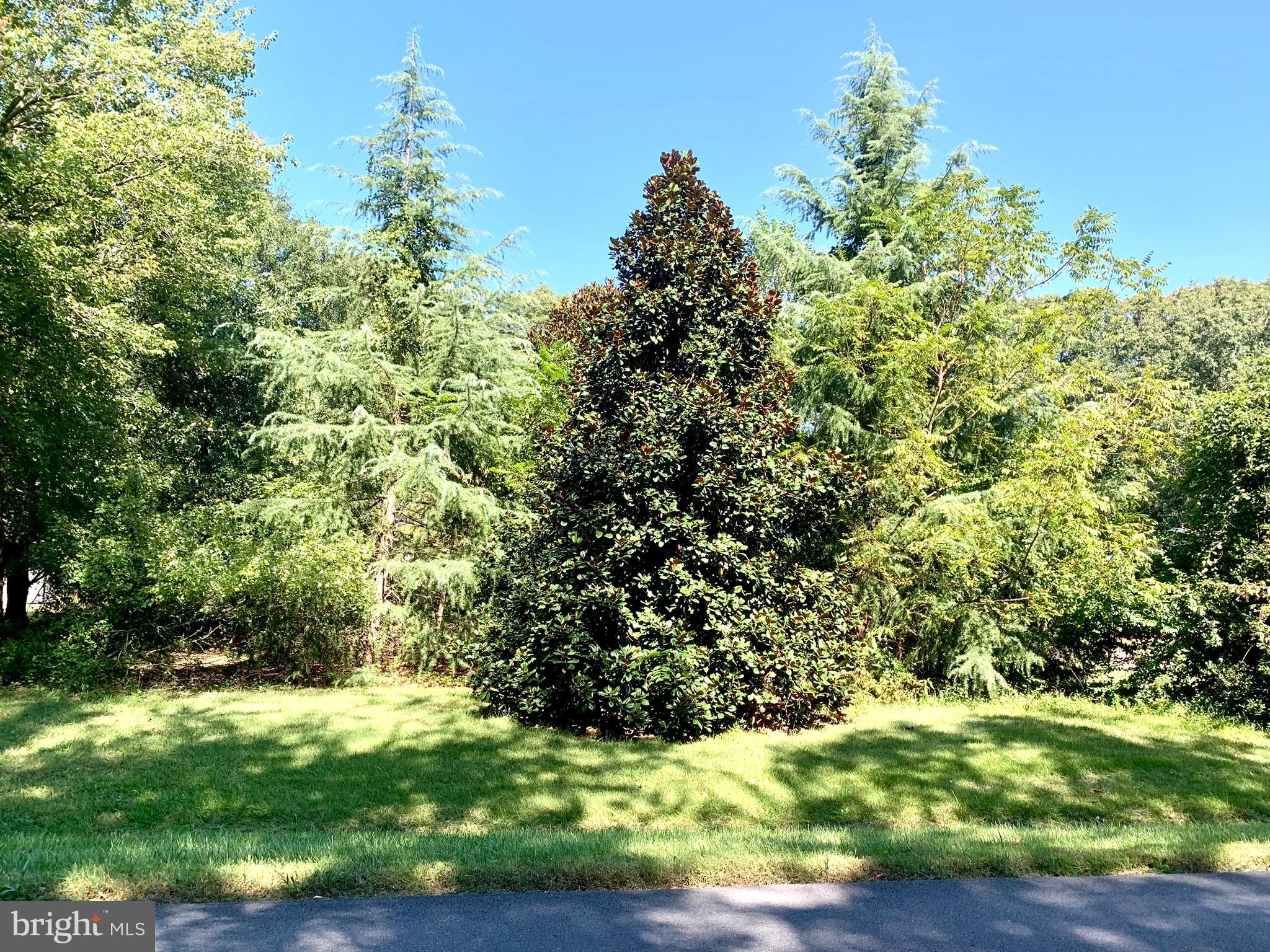 23661 Godwin School Road Millsboro, DE 19966 - Photo 2 of 28 front view from the road