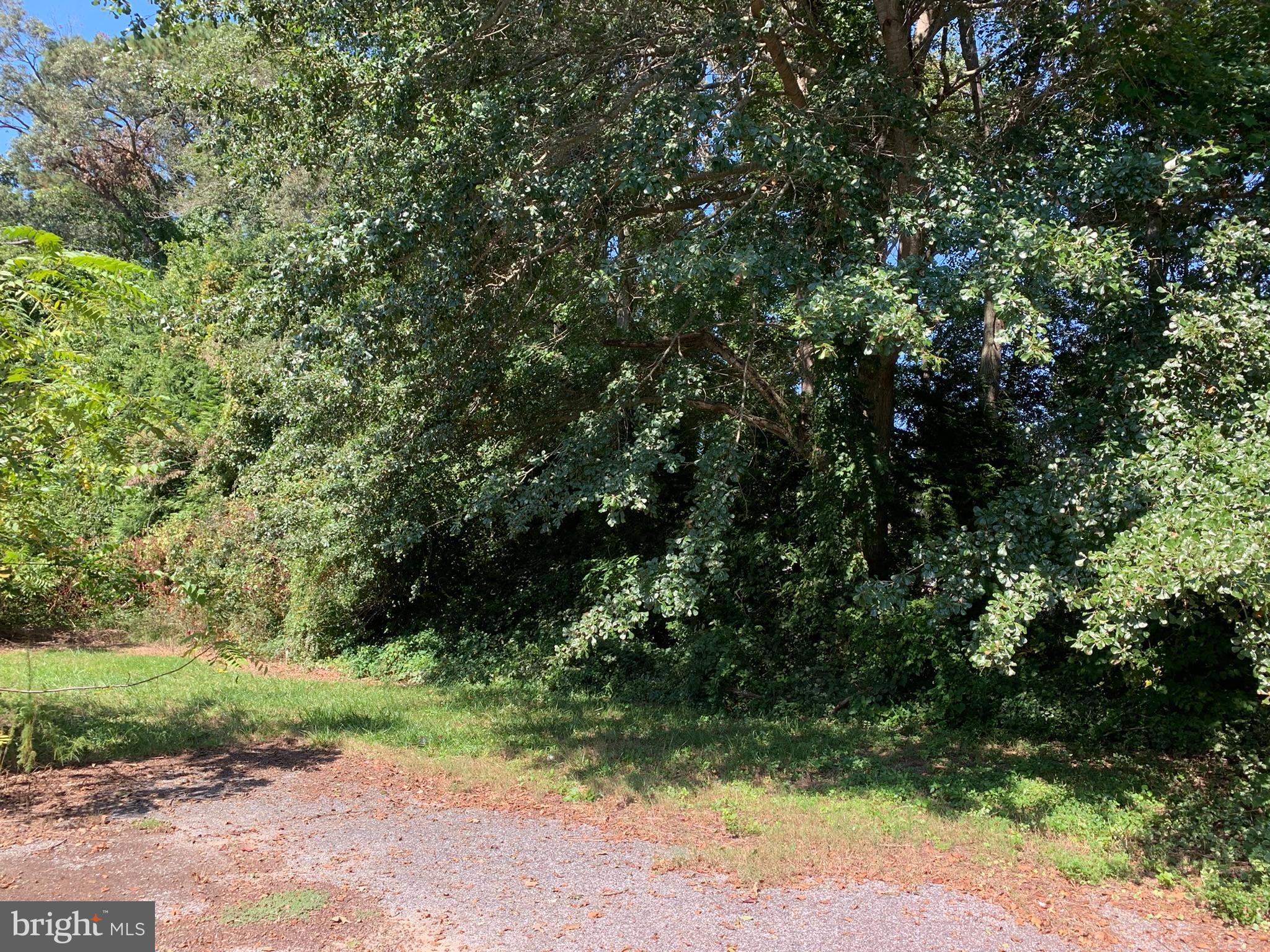 23661 Godwin School Road Millsboro, DE 19966 - Photo 3 of 28 back yard