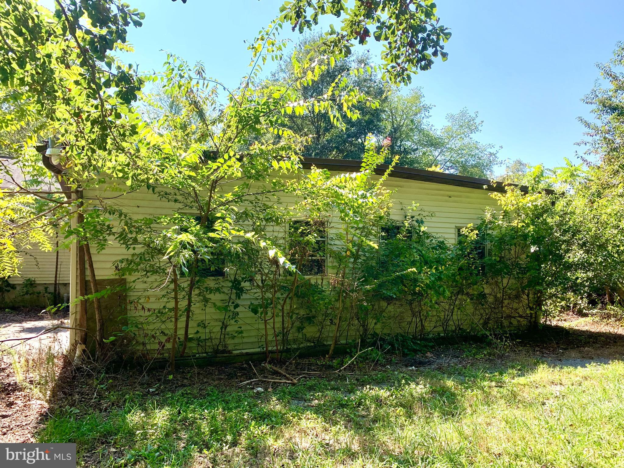 23661 Godwin School Road Millsboro, DE 19966 - Photo 6 of 28 rear - view 2