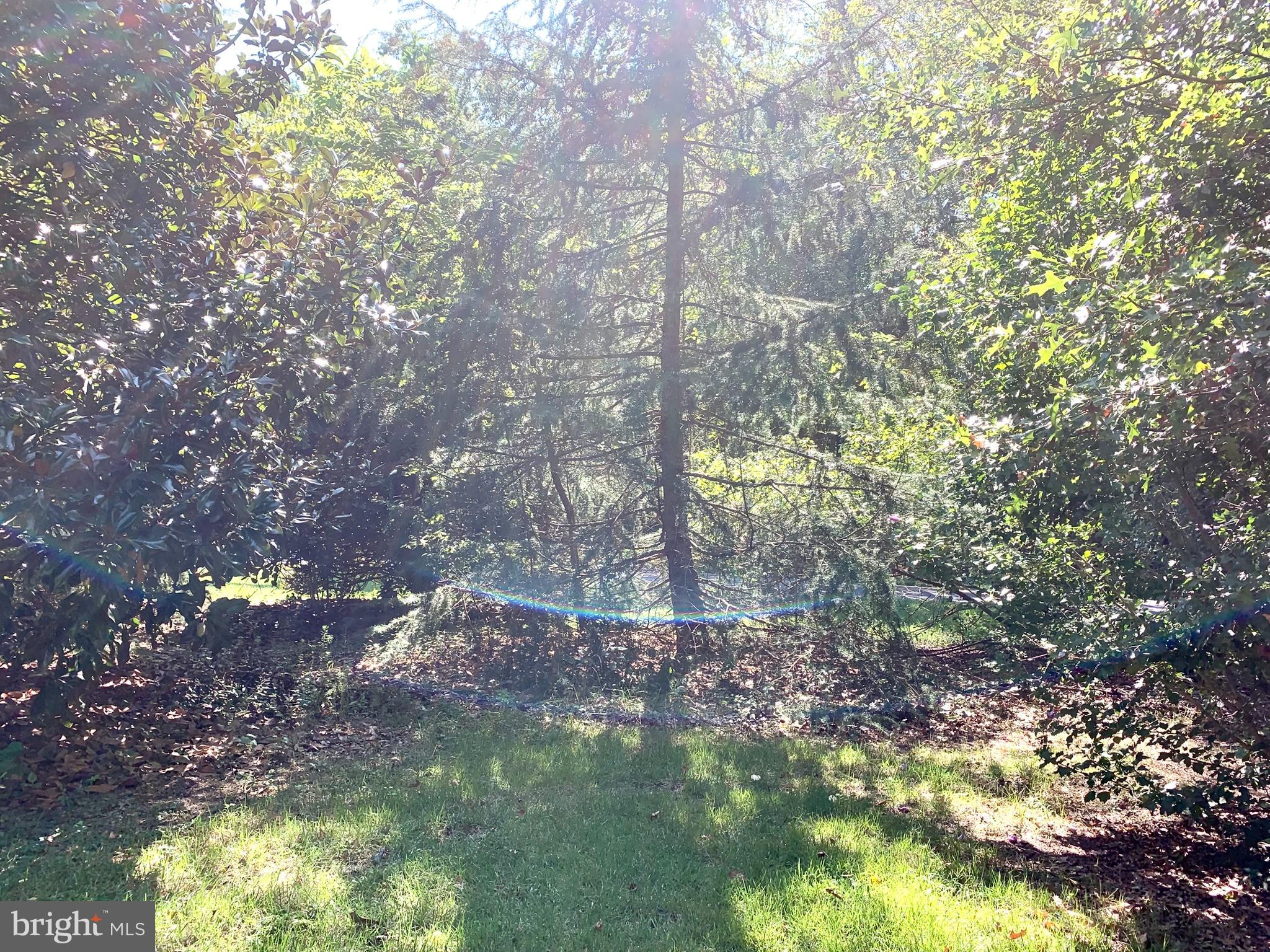 23661 Godwin School Road Millsboro, DE 19966 - Photo 8 of 28 front yard