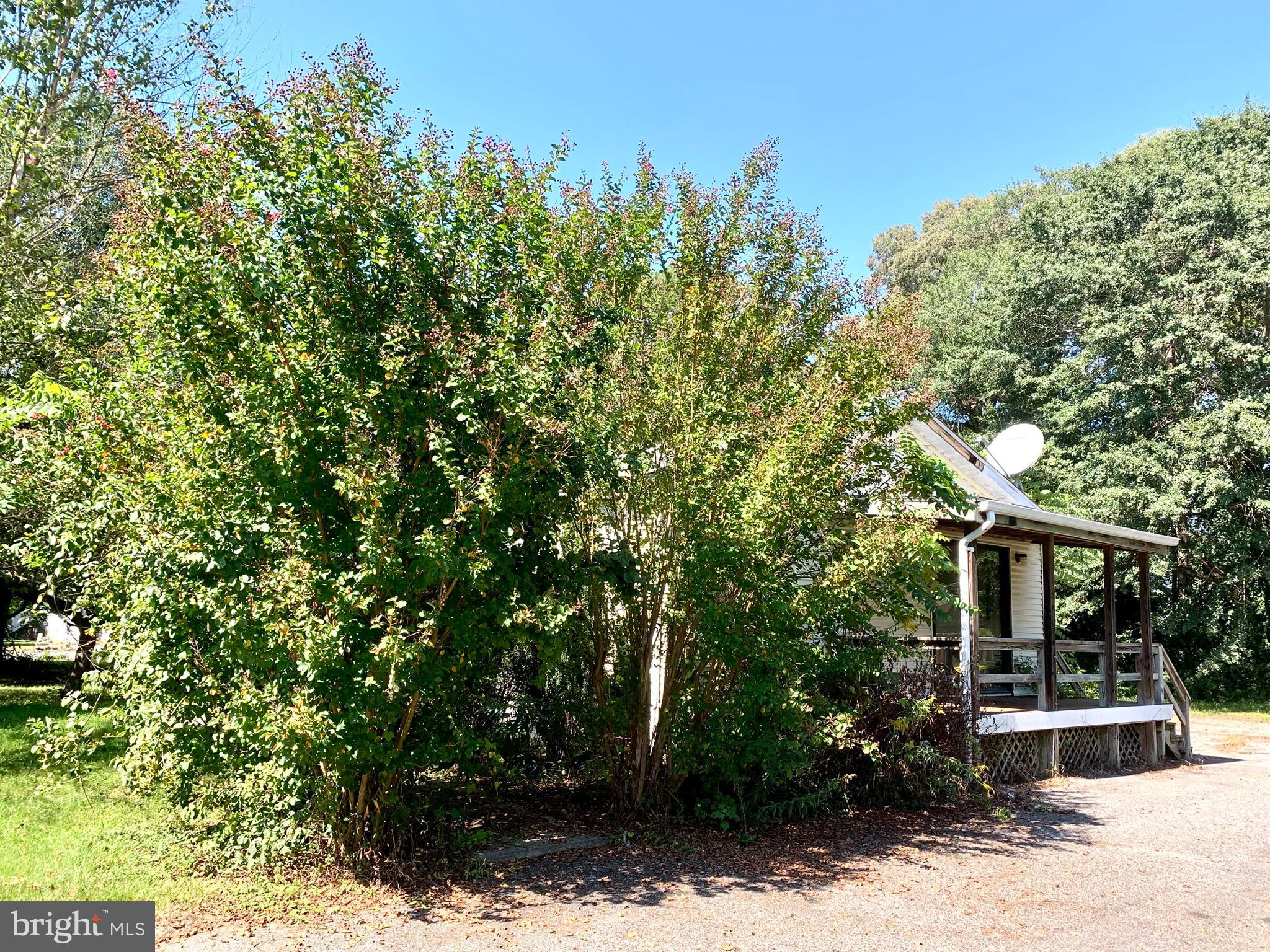 23661 Godwin School Road Millsboro, DE 19966 - Photo 9 of 28 right side - view 1