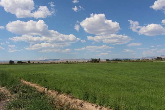 853 R Road Mack, CO 81525 - Photo 5 of 42 a view of a city