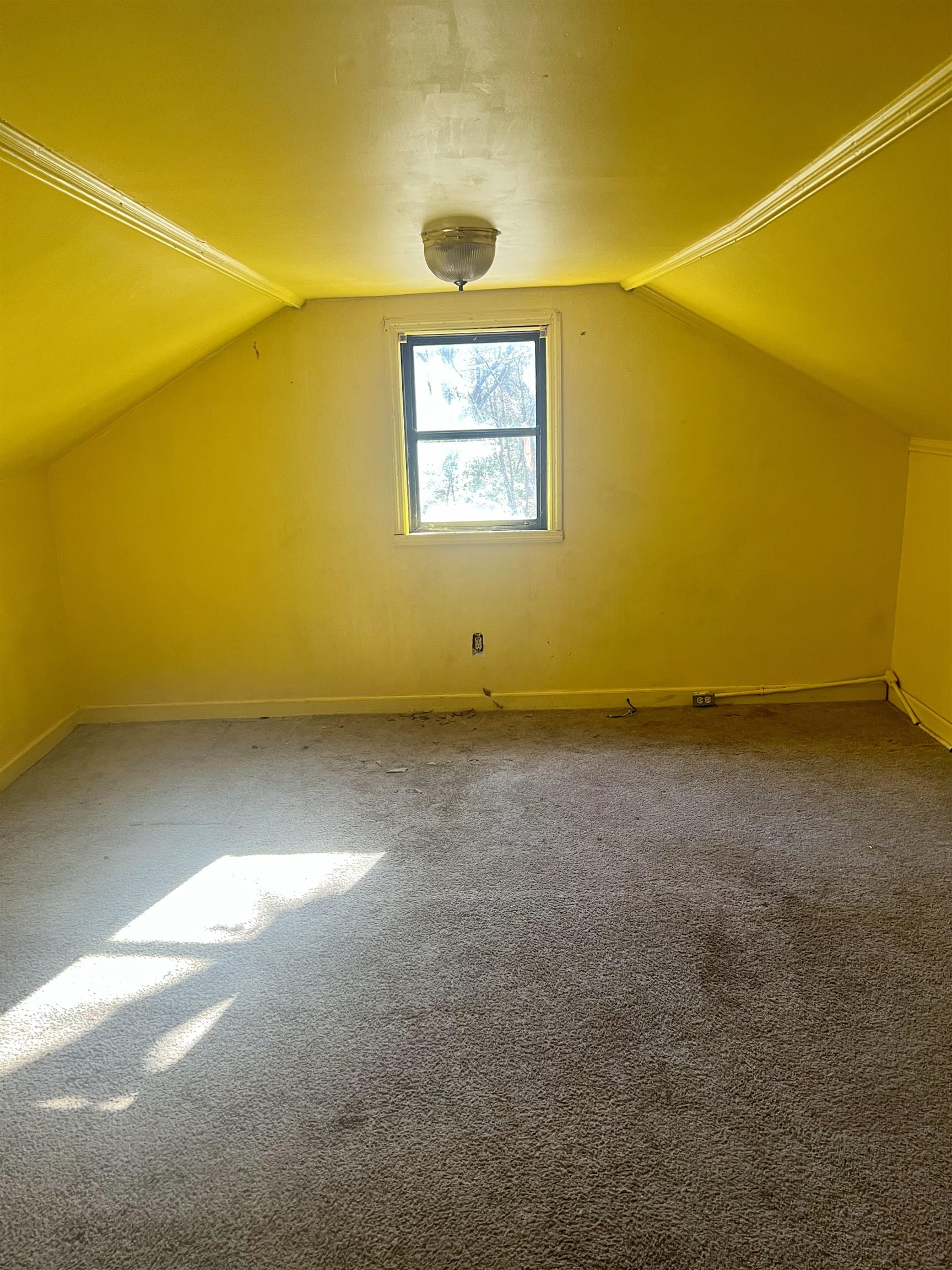 2661 John Dodd Road Wellford, SC 29385 - Photo 14 of 20 Gallery Image 14