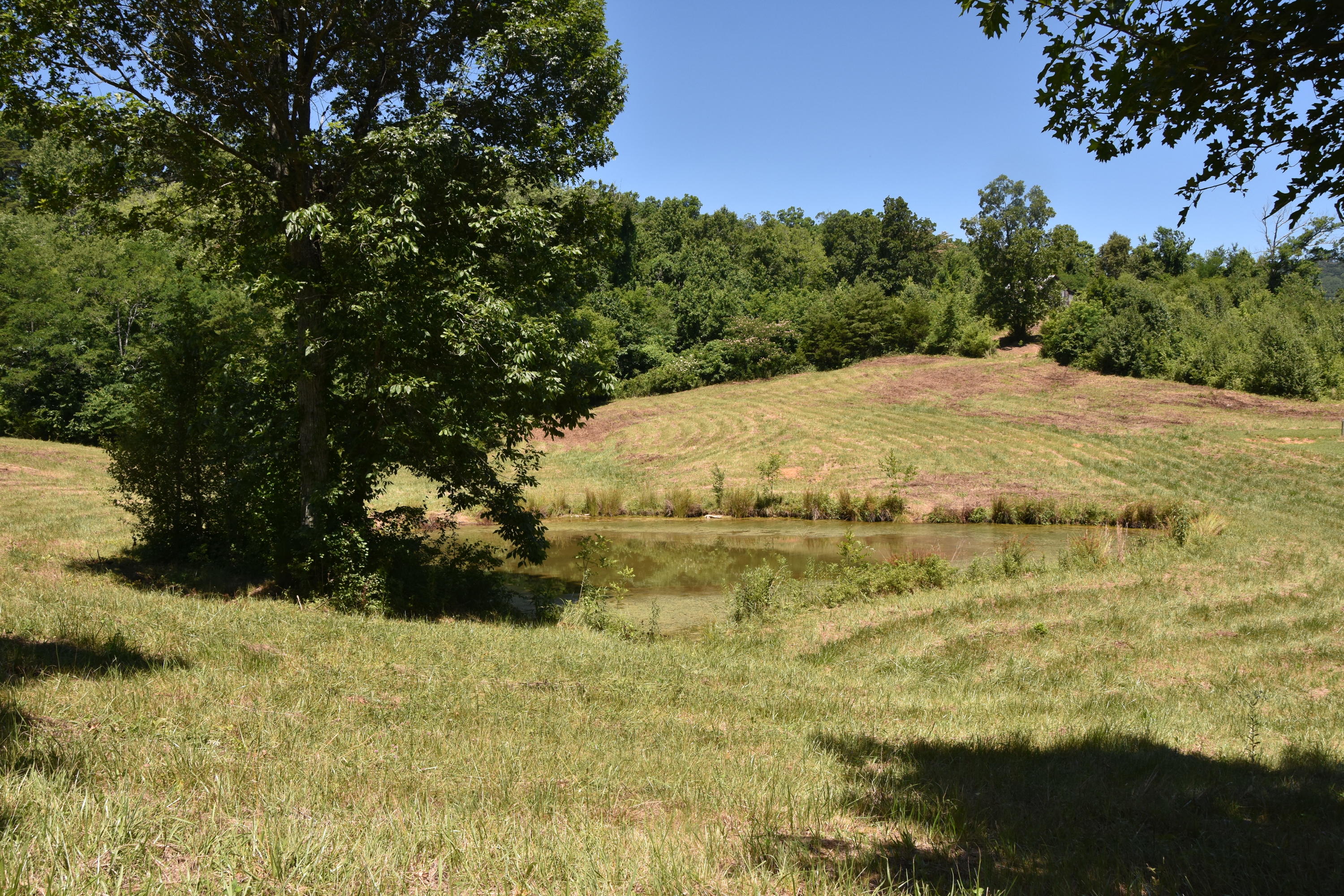 2 McKaig Road, Unit 2 Trenton, GA 30752 - Photo 14 of 26 DSC_1974