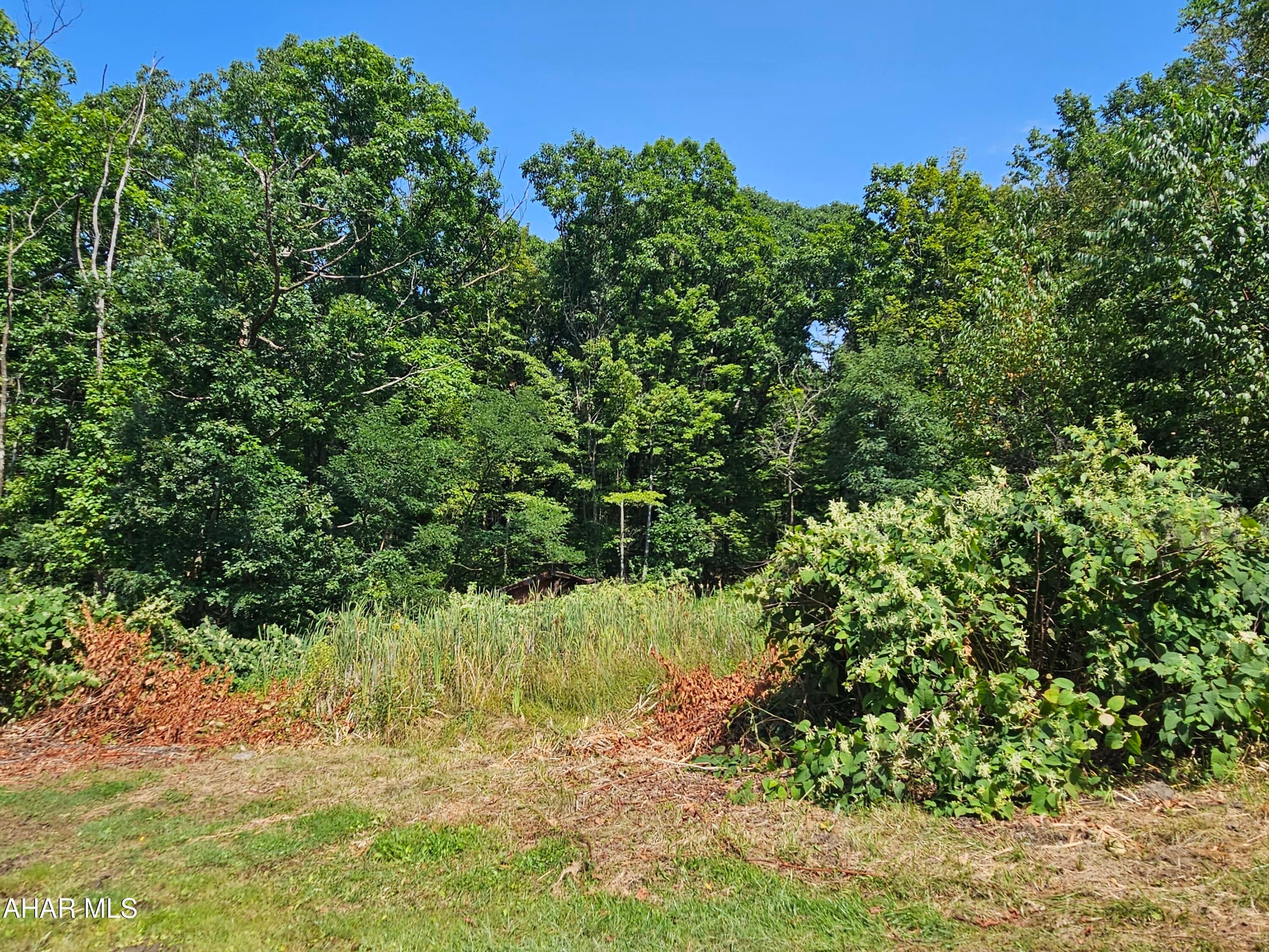 193 Clapper Road Altoona, PA 16601 - Photo 24 of 25 Gallery Image 24