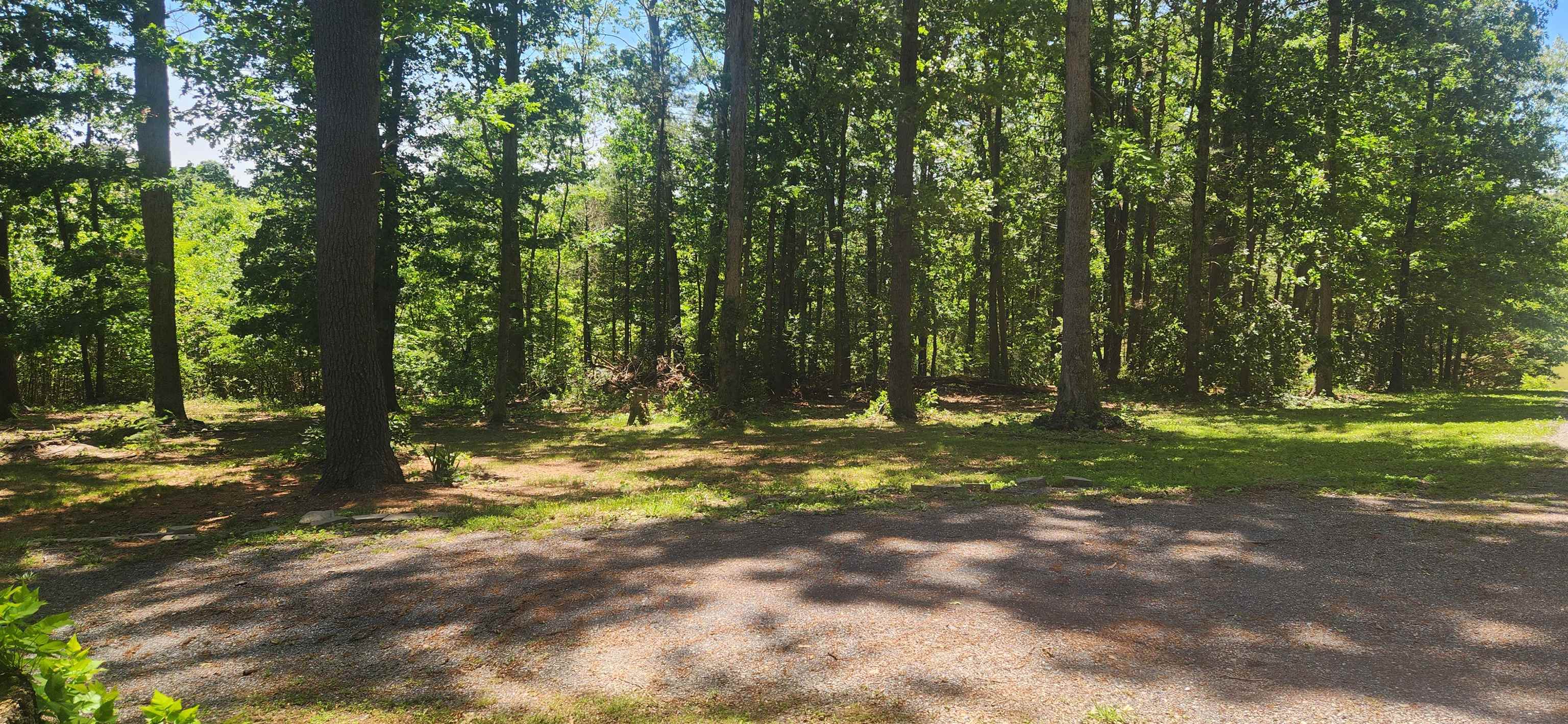 106 Miss Phillips Road Swoope, VA 24479 - Photo 3 of 42