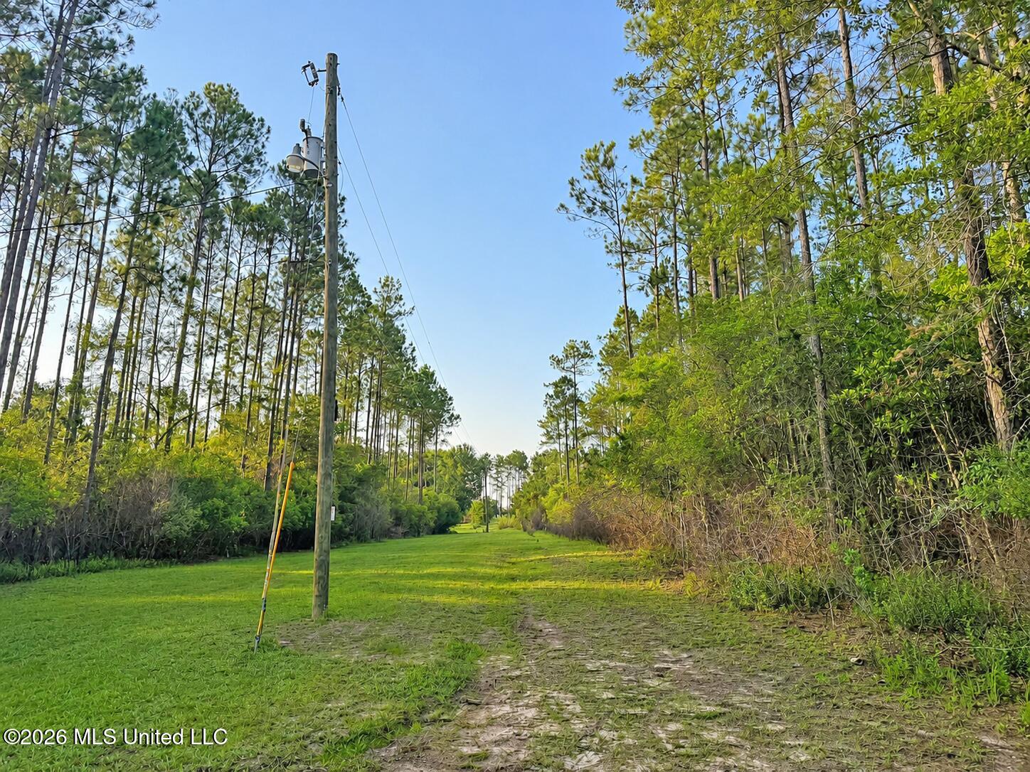 253 A Dean Nursery Road Lucedale, MS 39452 - Photo 21 of 22 3 (4)