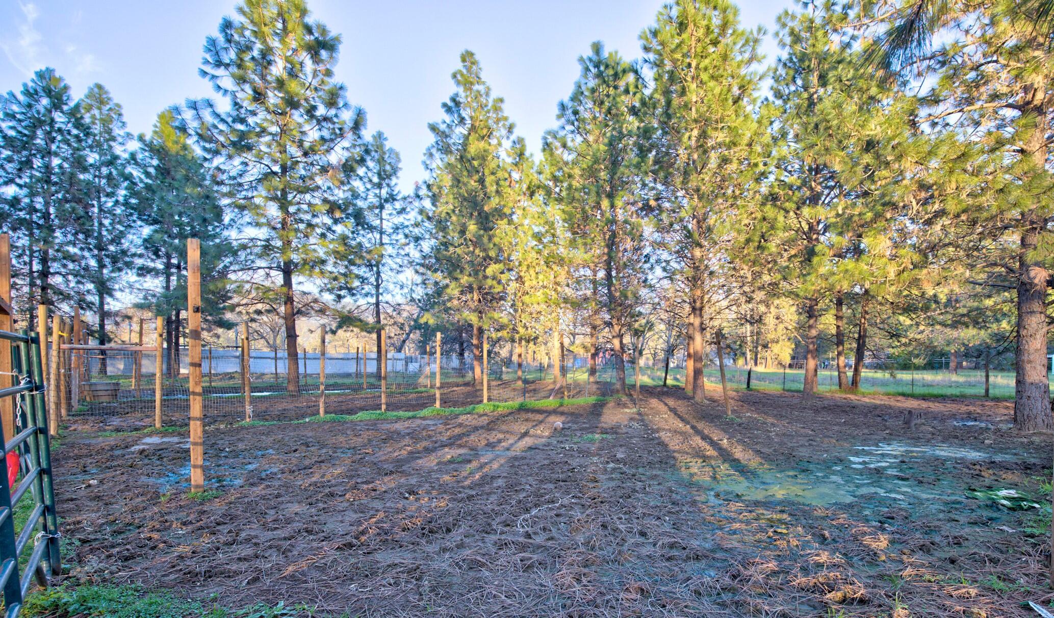 220 Boyer Road Grants Pass, OR 97526 - Photo 27 of 27 Back Right of pasture
