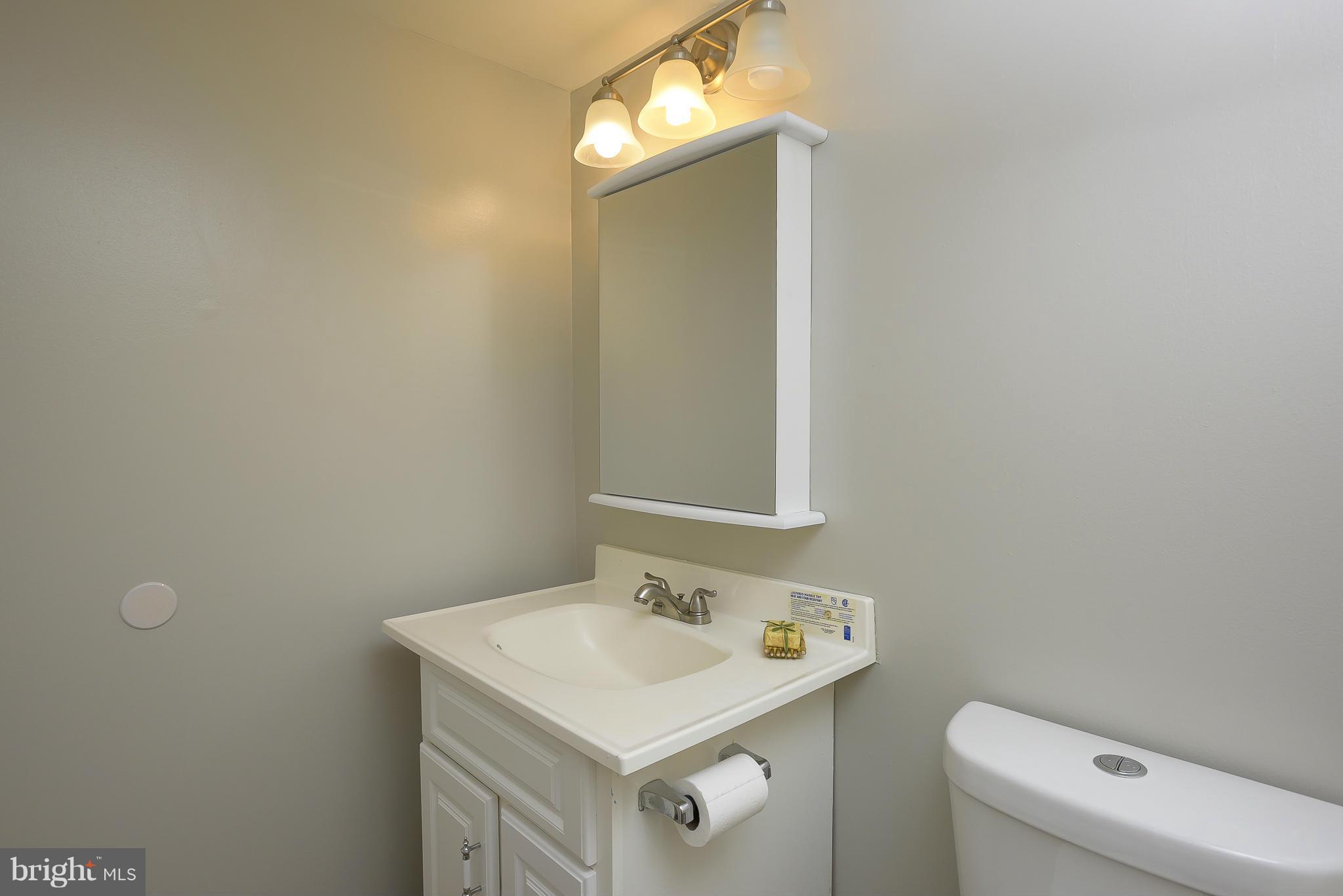 13007 Broadmore Road Silver Spring, MD 20904 - Photo 24 of 30 a bathroom with a sink a toilet and a mirror