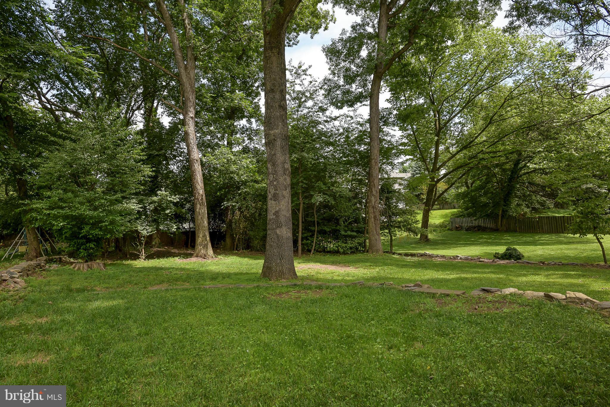13007 Broadmore Road Silver Spring, MD 20904 - Photo 30 of 30 a backyard of a house with a trees