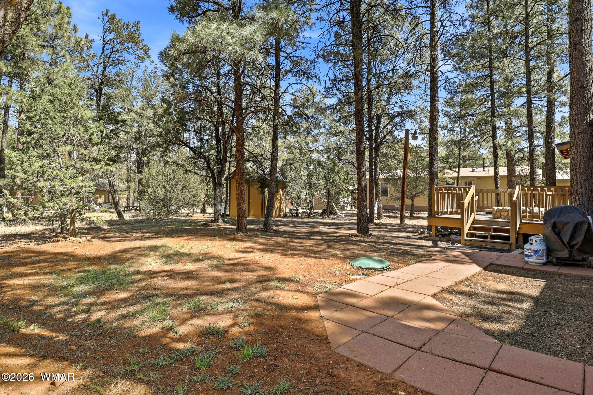 2136 Wildflower Road Overgaard, AZ 85933 - Photo 20 of 28 2136WildflowerRd-Overgaard-AZ-23