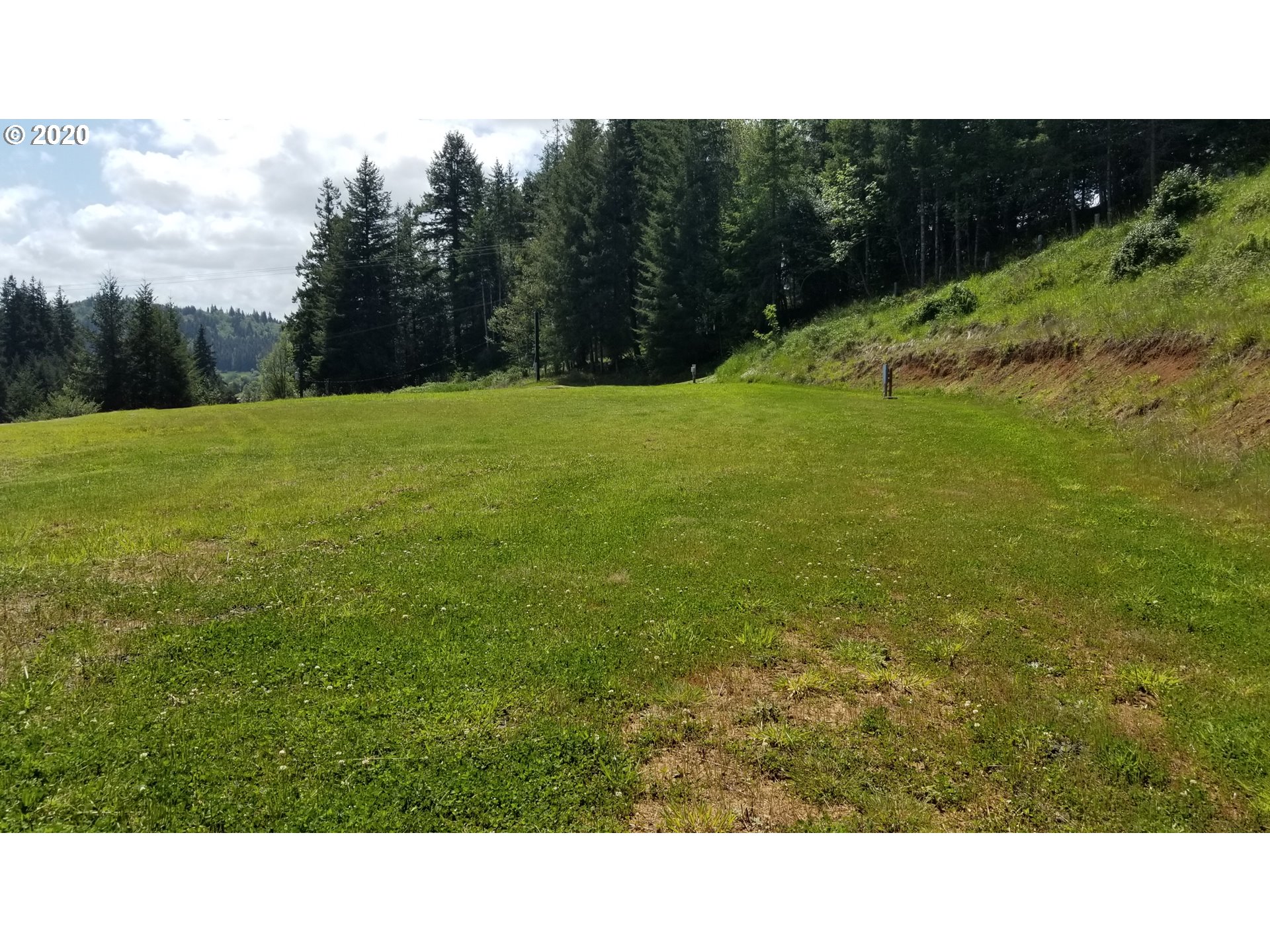 0 Quiet Valley Lane Myrtle Point, OR 97458 - Photo 11 of 15 Gallery Image 11
