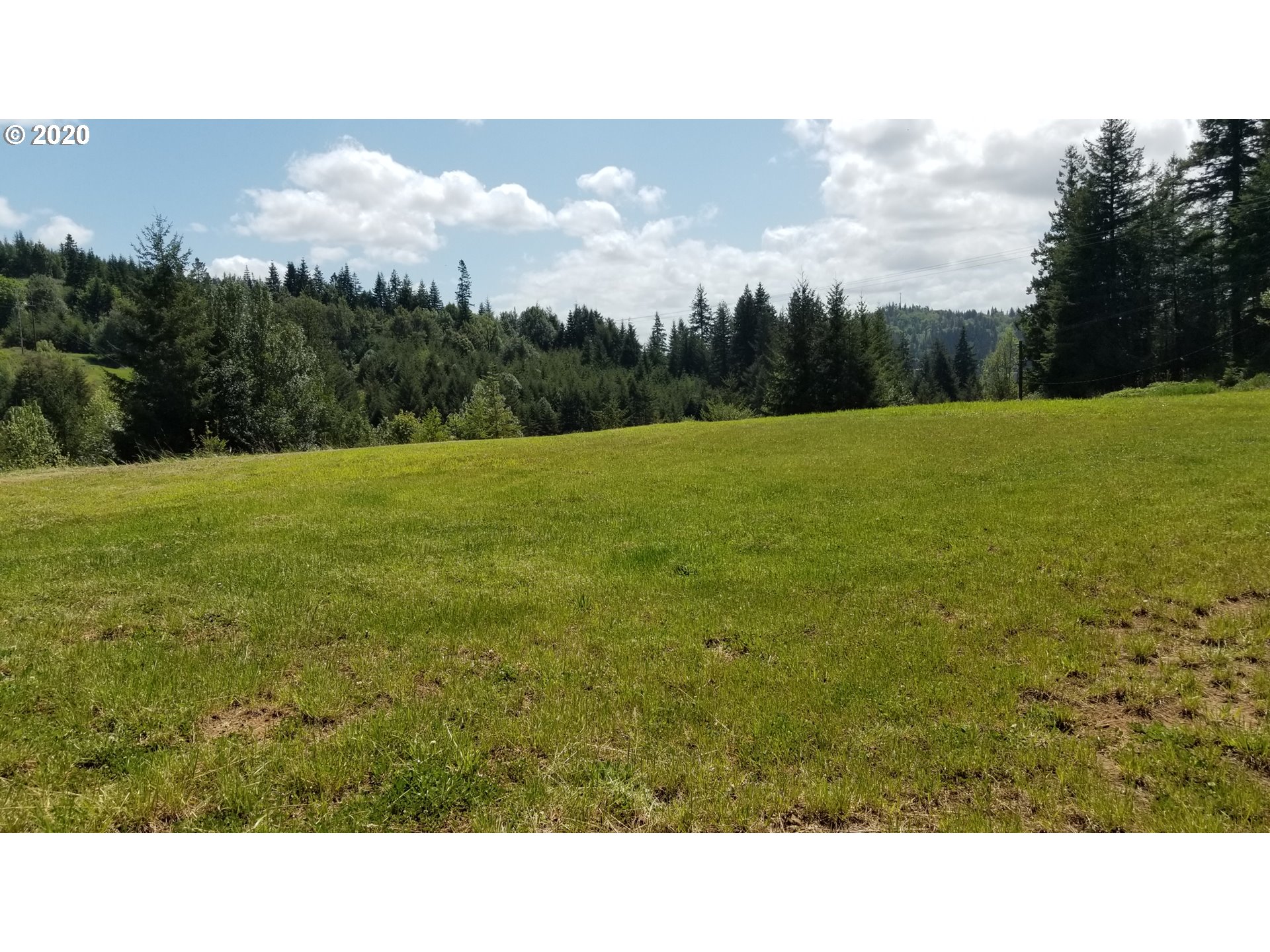0 Quiet Valley Lane Myrtle Point, OR 97458 - Photo 12 of 15 Gallery Image 12