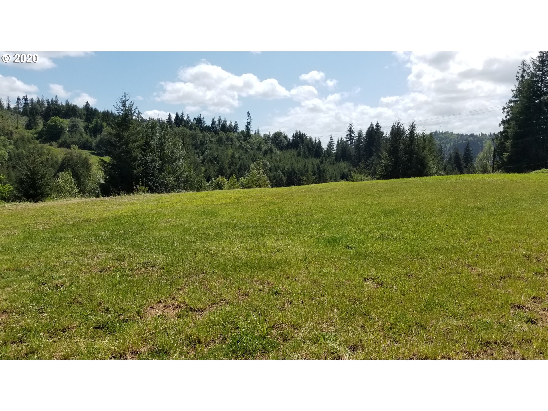 0 Quiet Valley Lane Myrtle Point, OR 97458 - Photo 13 of 15 Gallery Image 13