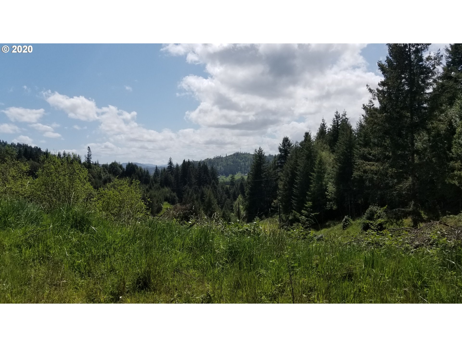 0 Quiet Valley Lane Myrtle Point, OR 97458 - Photo 14 of 15 Gallery Image 14