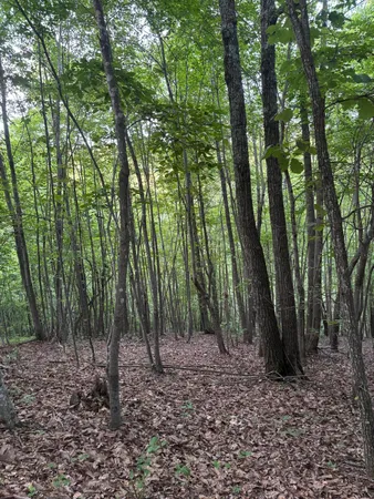 $49,000 | Undisclosed Address, Martinsville, VA 24112