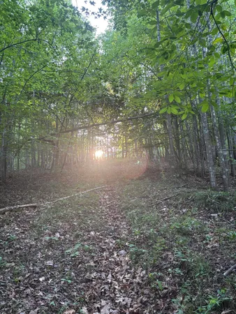 $49,000 | Undisclosed Address, Martinsville, VA 24112