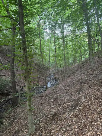 $49,000 | Undisclosed Address, Martinsville, VA 24112