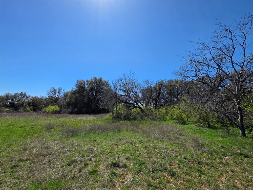309 Highway 36 Gustine, TX 76455 - Photo 11 of 36 a view of a field with a tree in the background