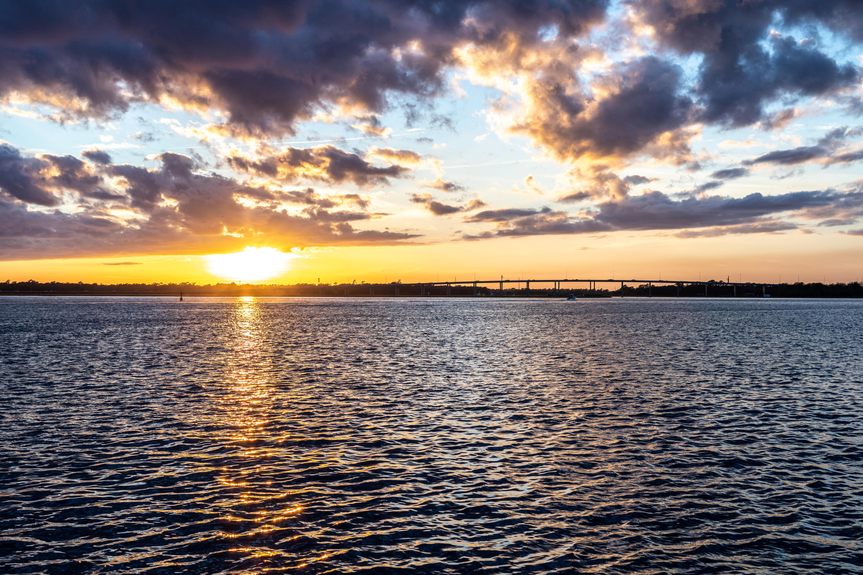 82 Murray Boulevard Charleston, SC 29401 - Photo 42 of 42 Scenes from the Front Porch