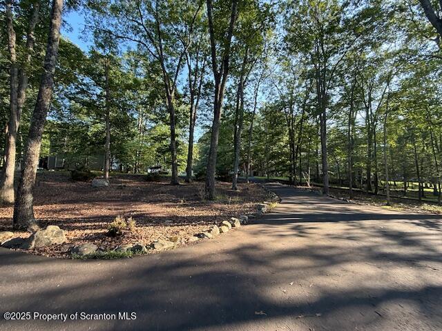 126 Dunchurch Drive Bushkill, PA 18324 - Photo 7 of 26 a view of a yard with a tree