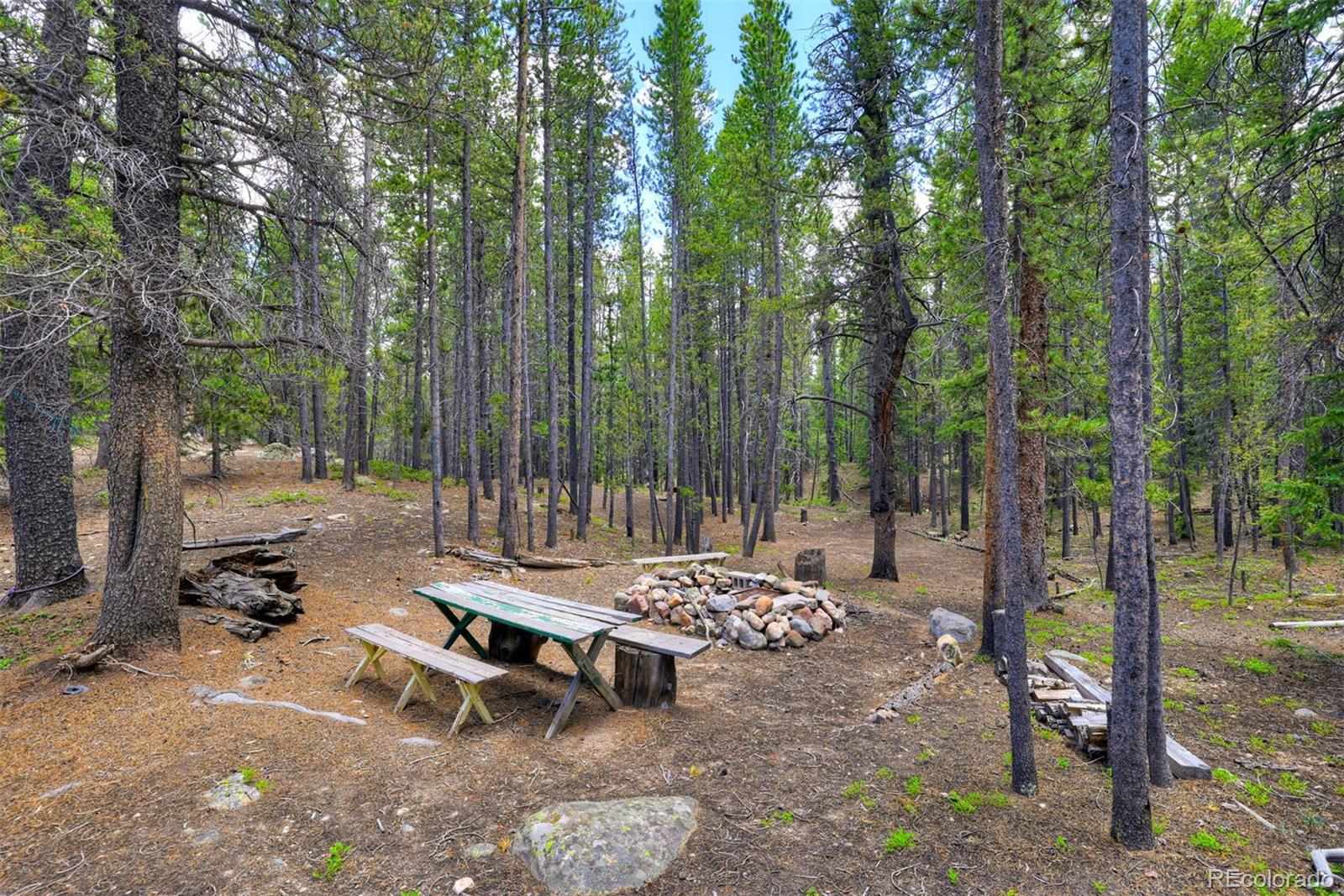 2221 Kootchie Kootchie Road Fairplay, CO 80440 - Photo 3 of 16 a view of a bench in a forest