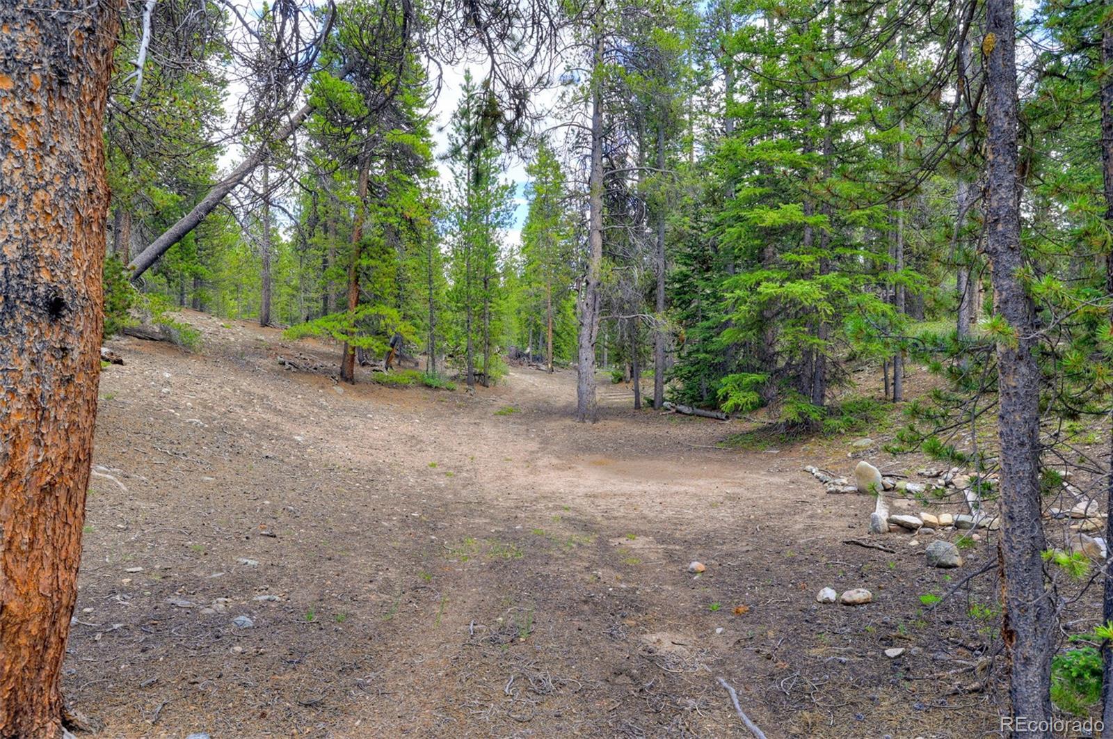 2221 Kootchie Kootchie Road Fairplay, CO 80440 - Photo 4 of 16 a view of a forest with trees in the background