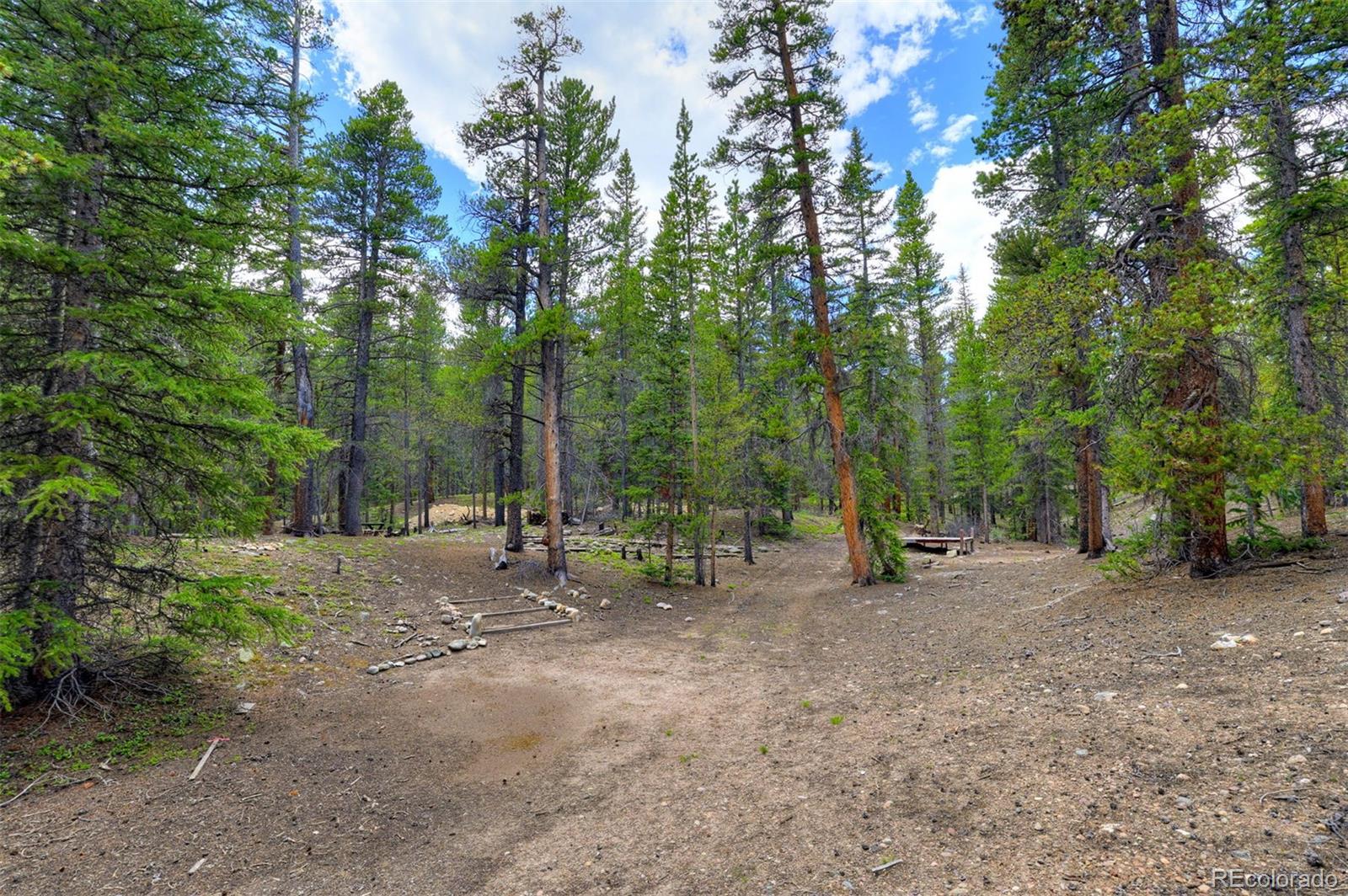 2221 Kootchie Kootchie Road Fairplay, CO 80440 - Photo 5 of 16 a view of a forest with trees in the background