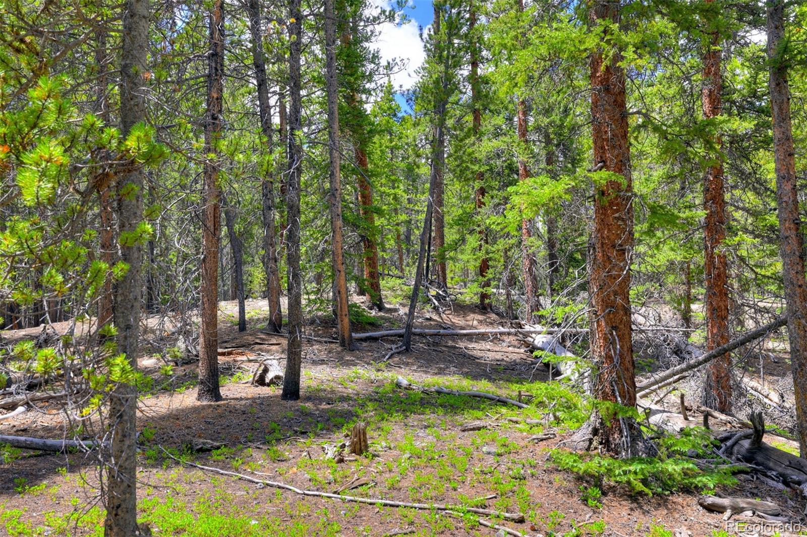 2221 Kootchie Kootchie Road Fairplay, CO 80440 - Photo 6 of 16 a view of a backyard