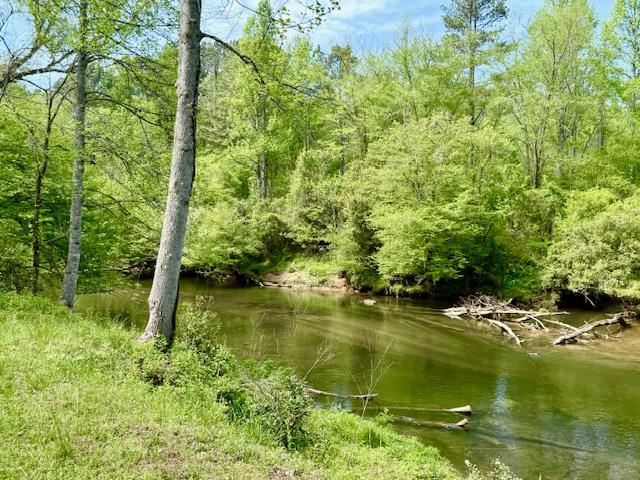 59 Rainy Farm Road Murphy, NC 28906 - Photo 6 of 14 a view of lake background with trees