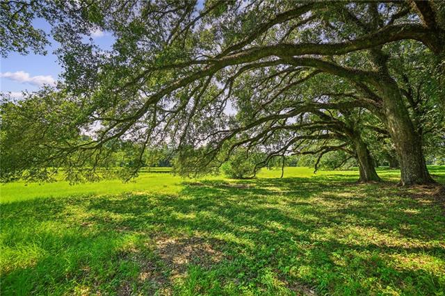 20460 Smith Road Covington, LA 70435 - Photo 19 of 45 Gallery Image 19