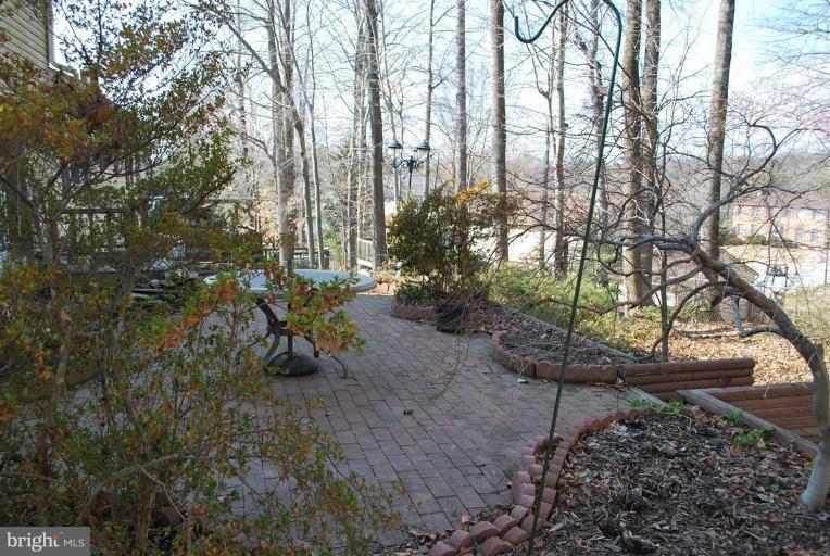 7837 Roundabout Way Springfield, VA 22153 - Photo 21 of 24 a backyard of a house with lots of green space