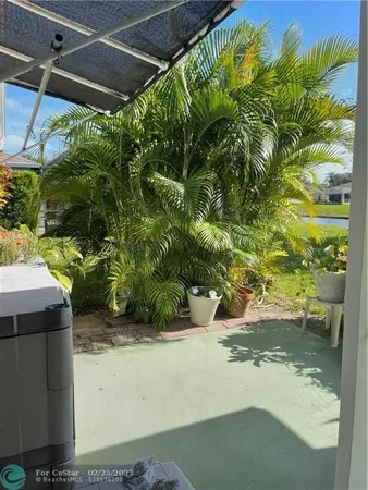 a view of a back yard of the tree