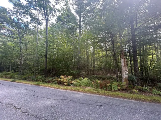 a view of outdoor space and yard