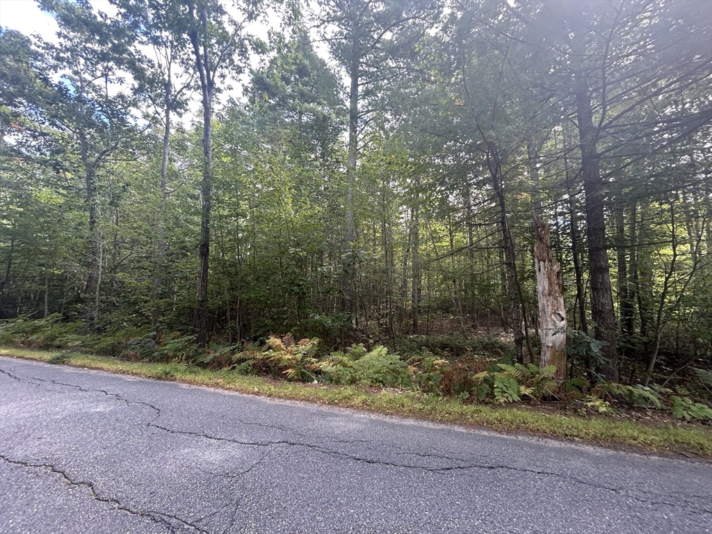 531 Mason Road Ashby, MA 01431 - Photo 2 of 9 a view of outdoor space and yard