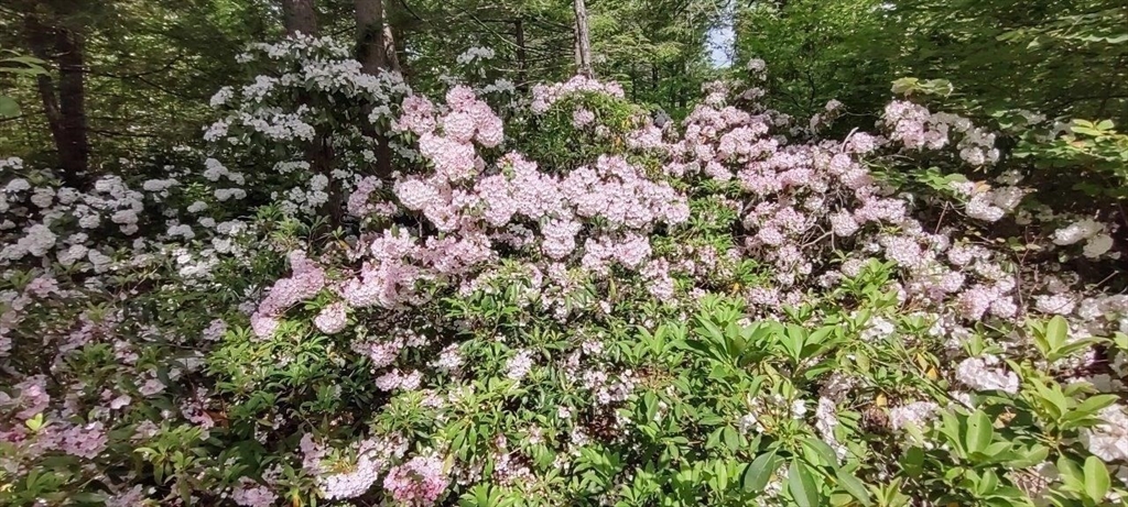 531 Mason Road Ashby, MA 01431 - Photo 7 of 9 a picture of street