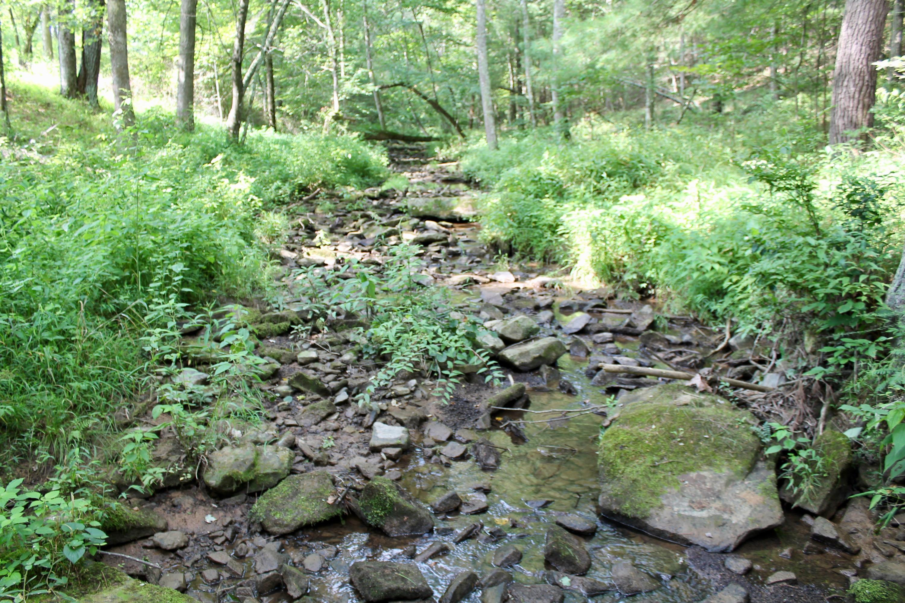 Loop Road Sunbright, TN 37872 - Photo 14 of 40 13