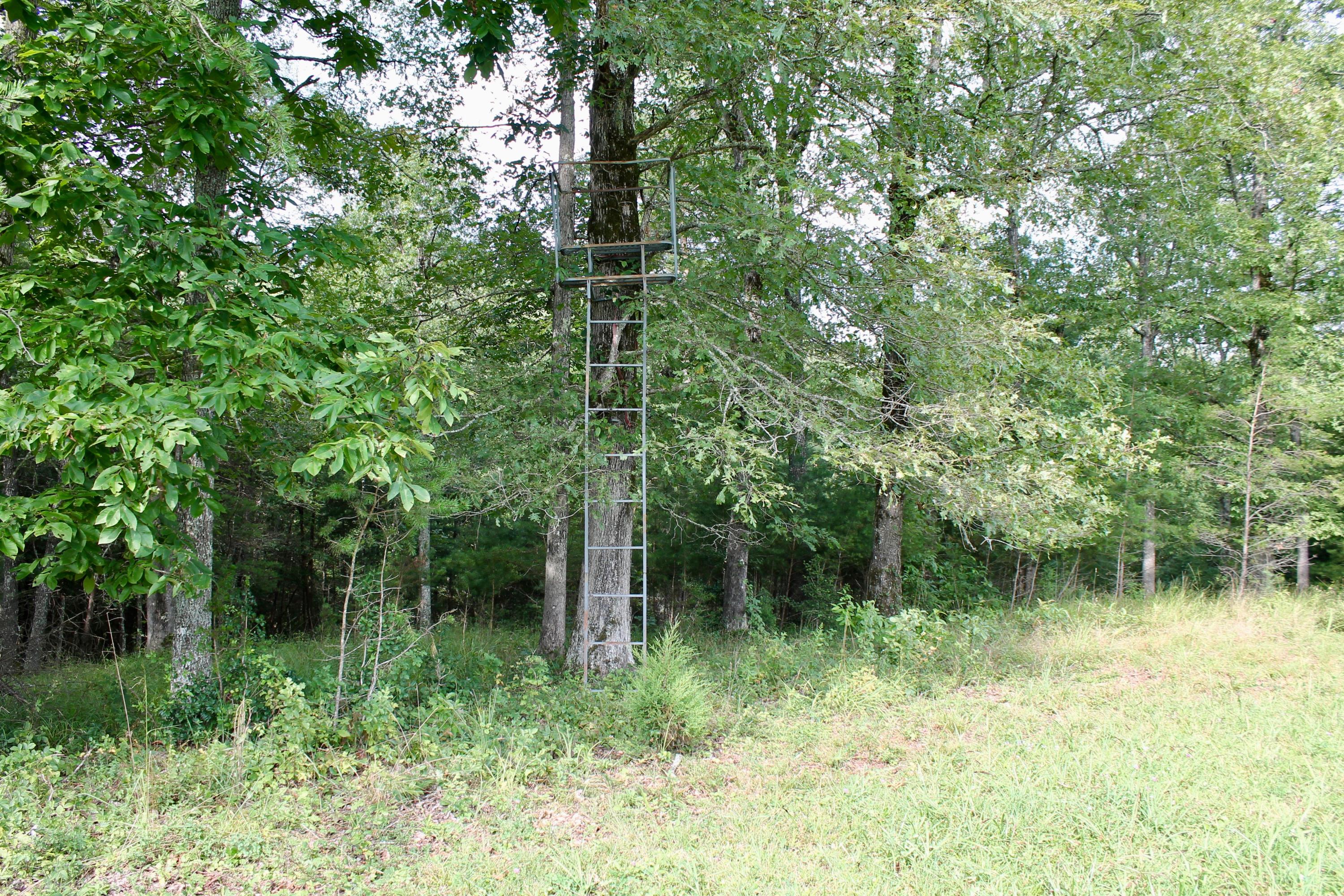 Loop Road Sunbright, TN 37872 - Photo 22 of 40 19