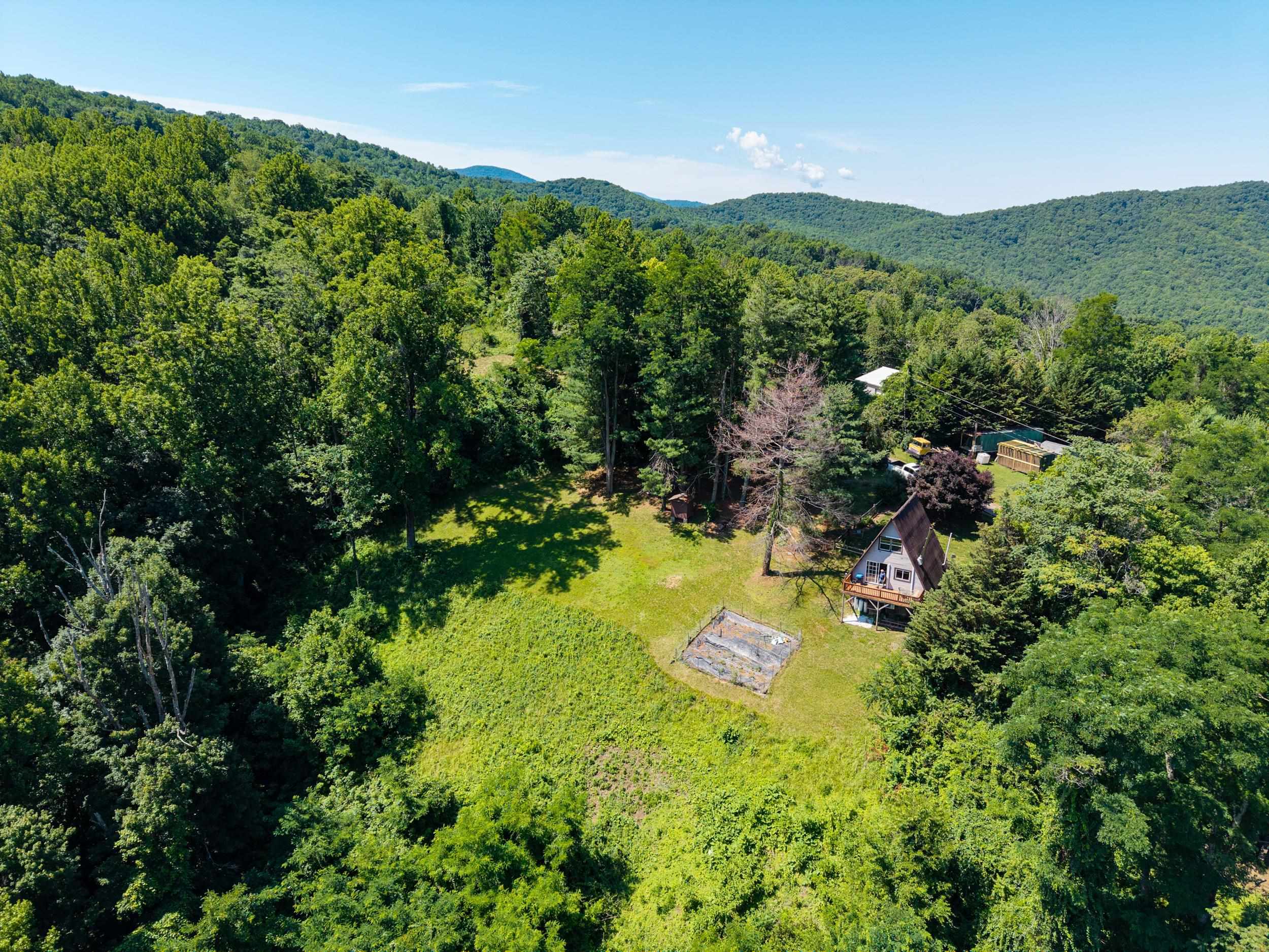 1093 Overlook Mountain Road Elkton, VA 22827 - Photo 51 of 63