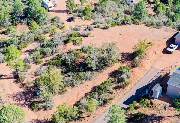 a view of a garden with a tree